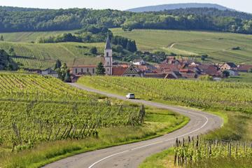 Alsace Wine Route: Half-Day Tasting Tour from Strasbourg