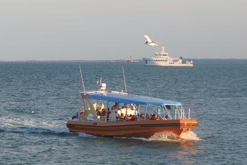 1-Hour Darwin Harbour Adventure Cruise