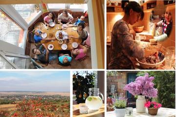 Day with A Local: Private Full-Day Cultural Family Experience including 4-Course Dinner