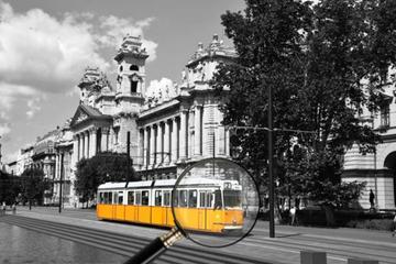 Find your new friend in Budapest and have an amazing time together