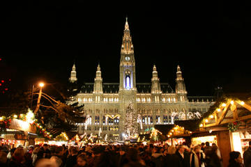 Vienna Christmas Markets Private Tour from Budapest