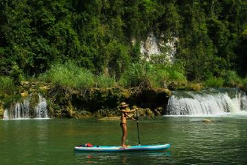 1-Hour Loboc Stand-Up Paddle Tour