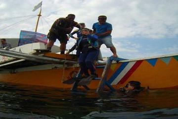CEBU SOLO FUN DIVE (SHARED)