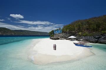 Oslob Whale Shark Watching, Kawasan Falls and Tumalog Falls