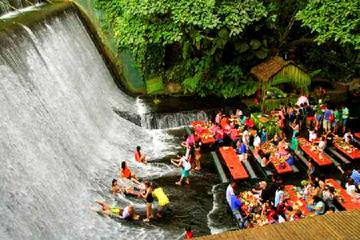 Villa Escudero Plantation Tour with Lunch