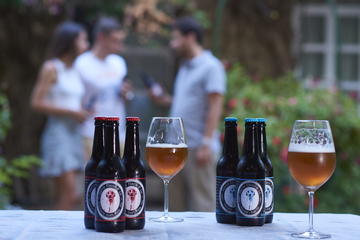 Cordoba Craft Beer Tasting and City Tour from a Local's Perspective