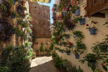 Cordoba Culture Heritage Patios Tour