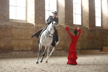 Cordoba Equestrian Show with Flamenco and Traditional Tapas
