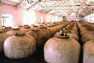 Cordoba Organic vineyard Tour & Tasting in Montilla Moriles