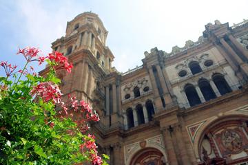 Malaga Cathedral Tour & Food Tasting