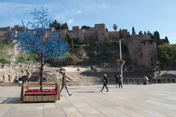 Malaga's 3 Hour Getaway Through Historic City Center