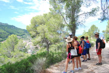 Mallorca Full Day Tramontana Hike and Mallorquin Lunch