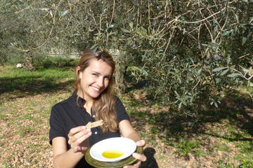 Mallorca Soller Olive Oil Tour Experience and Wine Tasting