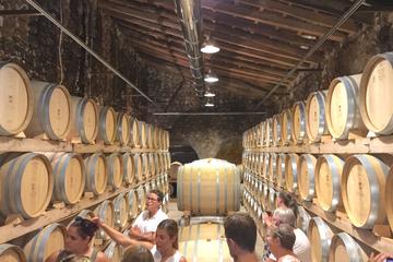 Mallorca Wine Tasting Experience for Wine Lovers
