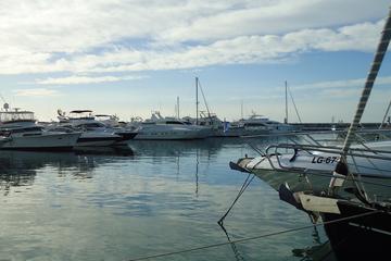 Marbella Gourmet Tapas & Puerto Banus walking tour