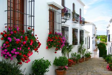 Marbella Olive Oil Tasting & Tapas Tour