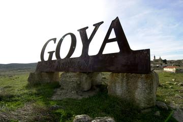 Zaragoza Full day wine excursion and visit Goya birthplace