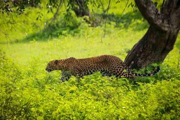 Jaipur Motorcycle Tour to Sariska National Park