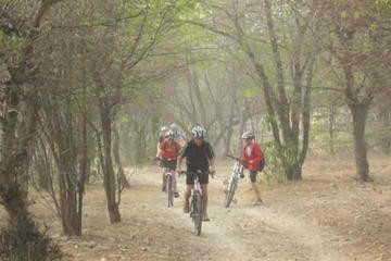 Jaipur Wildlife Pedal Tour