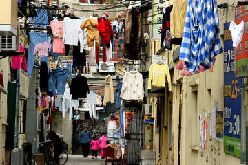 Exploring the Former French Concession of Shanghai