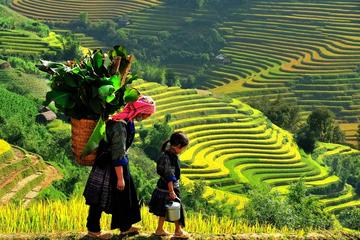 2-Night Sapa Tour from Hanoi