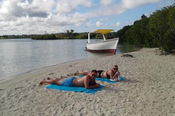 Day Trip to Ile Aux Cerfs Island and Grand River South East Waterfall in Mauritius