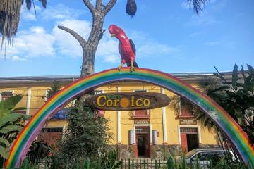 Coroico Full Day