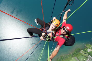 Niederhorn Paragliding Experience in Interlaken