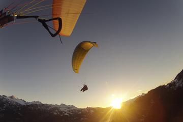 Summer Paragliding Beatenberg in Interlaken