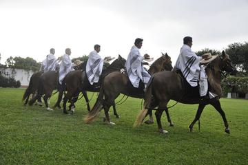 Peruvian Paso Horses Show plus Lunch or Open Bar