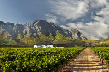 Best of the Cape Winelands (Stellenbosch & Franschhoek)