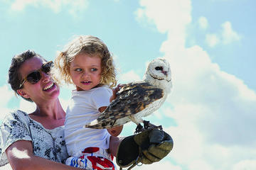 FAMILY FUN & FURRY FRIENDS, FAMILY DAY IN THE WINELANDS