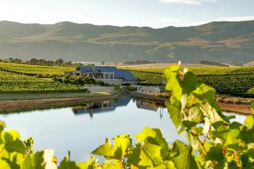 Full-Day Hemel-en-Aarde Wine Region Private Tour from Cape Town
