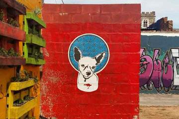 Full-Day Township and Street Art Private Walking Tour in Cape Town
