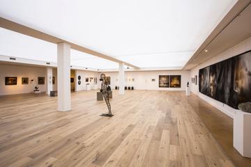 Immersive Art Experience in Cape Town