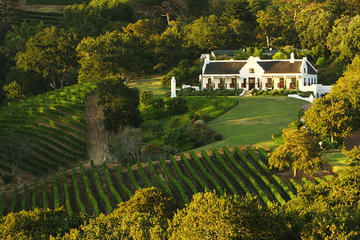 Private Constantia Wine Tour from Cape Town