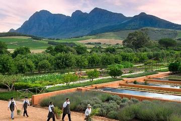 Private Glorious Gardens and Wine Tour from Cape Town