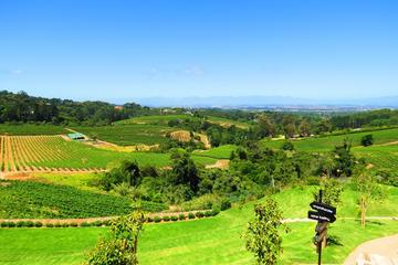 Private Half Day Wine Tour in Constantia from Cape Town