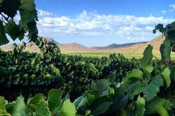 Private Wine Tour in Franschhoek from Franschhoek