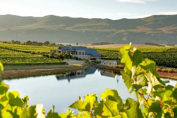 Private Wine Tour in the Hemel-en-Aarde Wine Region from Cape Town