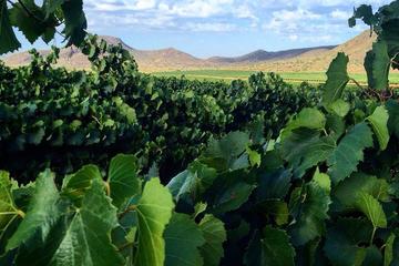Private Wine Tour of Franschhoek from Cape Town