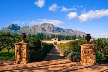Private Wine Tour of Stellenbosch from Cape Town