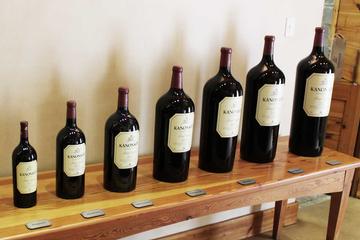 Red Wine Lovers Private Tour from Stellenbosch