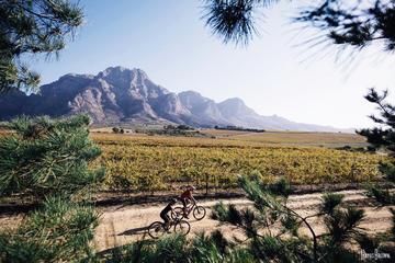 WINELANDS SIP AND CYCLE SAFARI