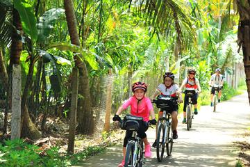 Full-day Mekong Delta Bike Tour from Ho Chi Minh City