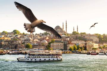 Private Full Day Istanbul Bosphorus Cruise and Asia Tour