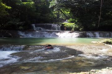 Appleton Estate Rum and YS Falls Tour