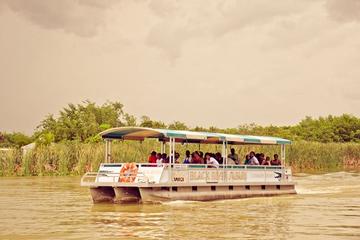 Black River Safari Tour from Montego Bay