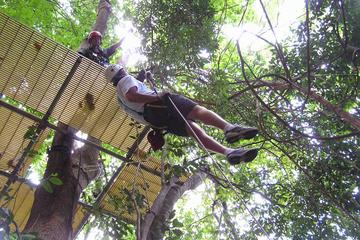 Canopy Zip Line and Safari Tour from Falmouth