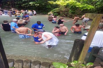 Half-Day Dunn's River Falls Tour from Montego Bay